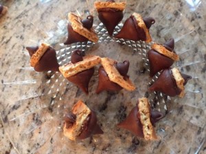 Chocolate Acorns by Mary Lou R.